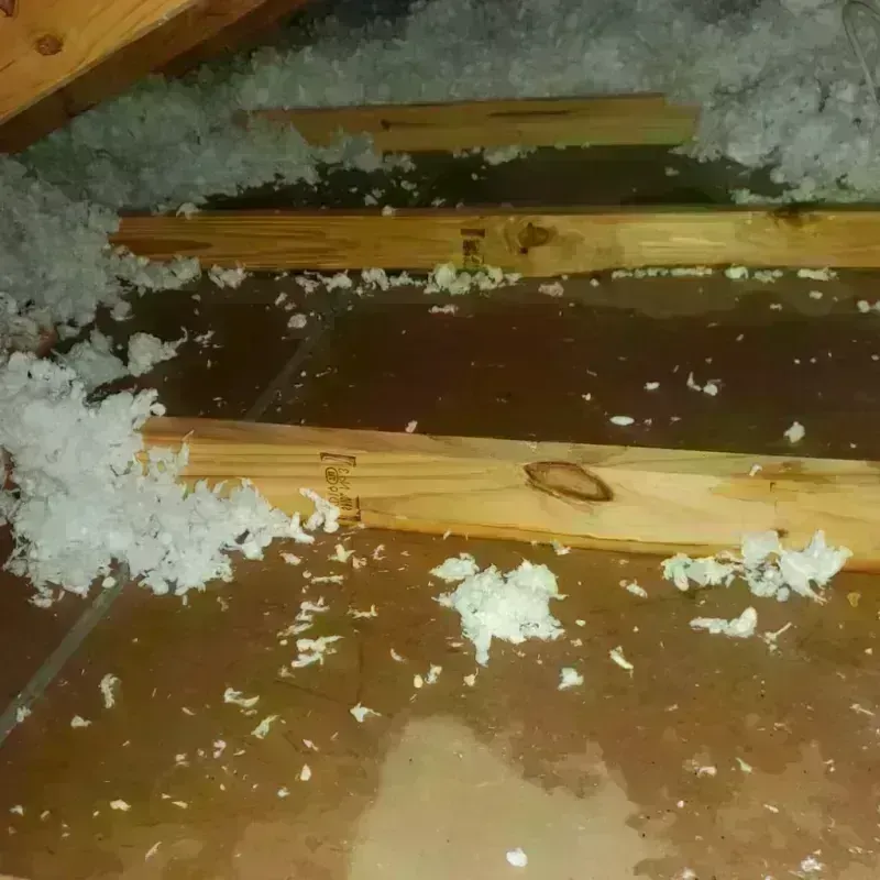 Attic Water Damage in Normandy Park, WA